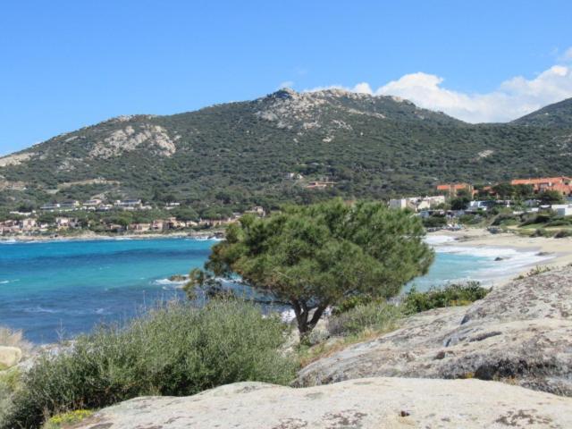 T2 Renove 100M Plage Avec Spa Privatif Entre Calvi Et Ile Rousse Lumio  Dış mekan fotoğraf